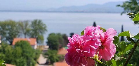 Vila Roza apartments in Gevgelija – featured photo